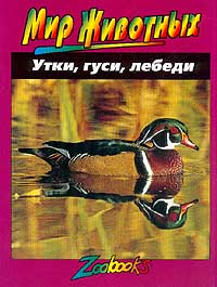 Утки, гуси, лебеди Серия: Мир животных инфо 9294d.