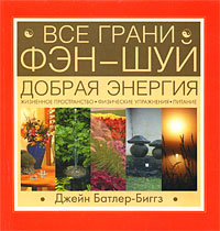 Все грани Фэн-Шуй Издательства: АСТ, Астрель, 2008 г Мягкая обложка, 224 стр ISBN 978-5-17-049339-5, 978-5-271-19230-2, 0-8230-1658-7 Тираж: 5000 экз Формат: 84x90/16 (~205x225 мм) инфо 636e.